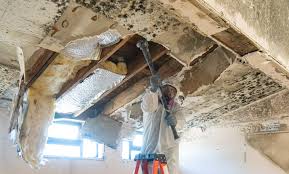 Best Post-Construction Mold Inspection  in Bellport, NY